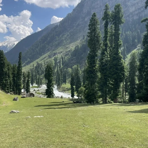 Jammu Kashmir